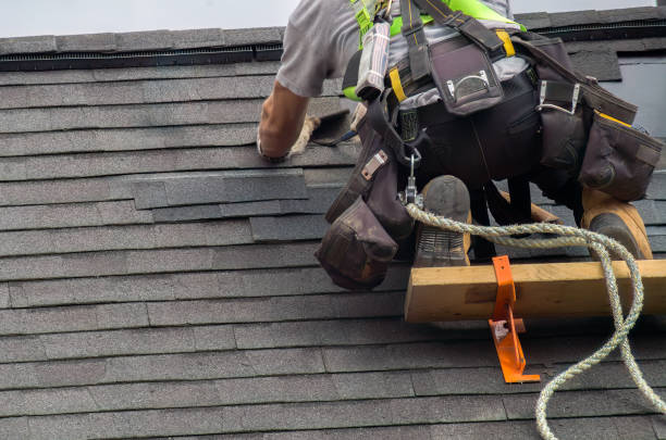 Best Storm Damage Roof Repair  in Alma, NE